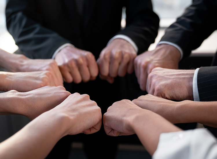 国内外专家团队护航