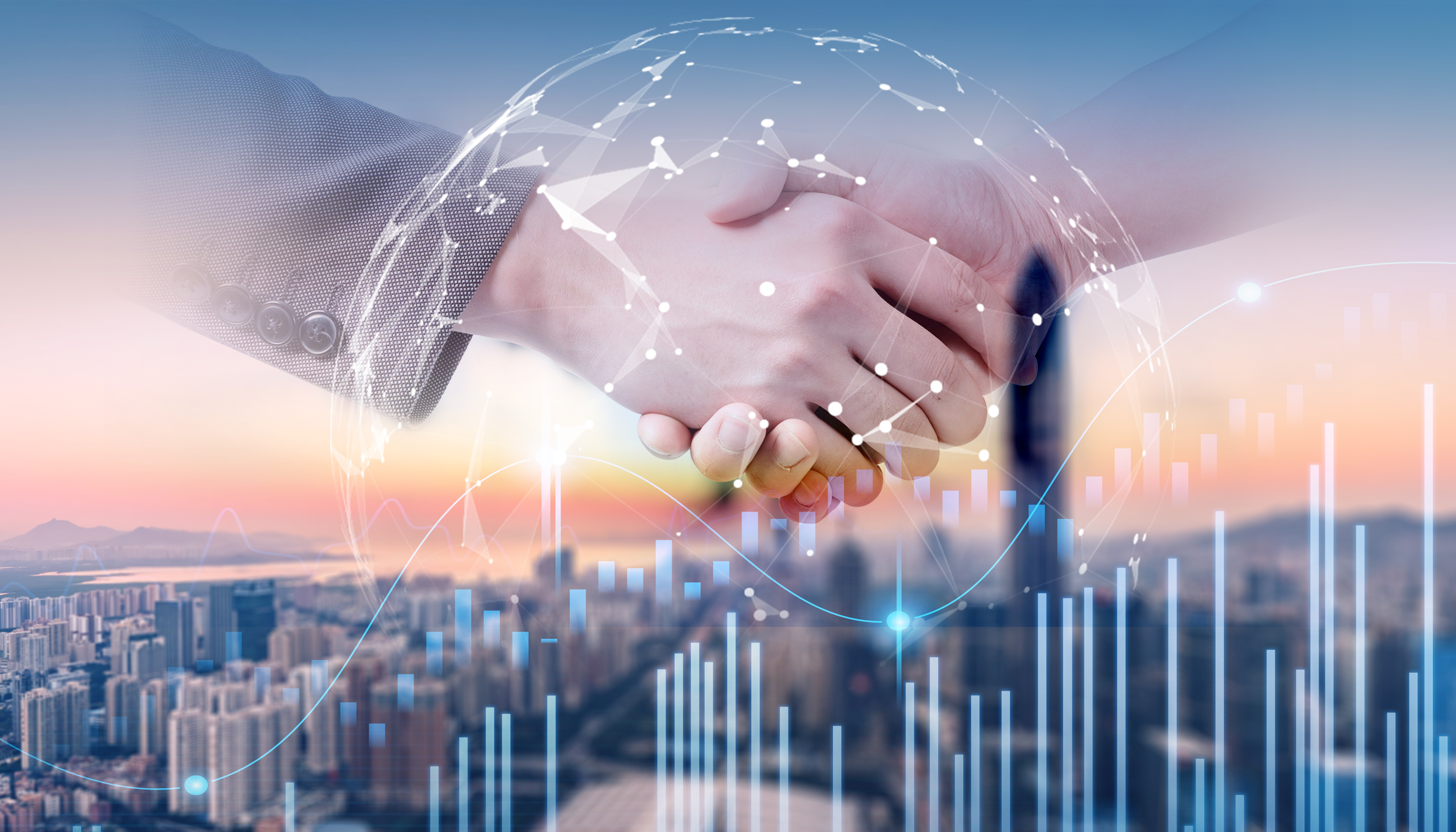 项目保障能力及成本控制